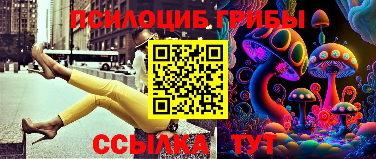 Майкоп  купить наркотики цена  Вход с VPN  Псилоцибиновые грибы Cubensis 