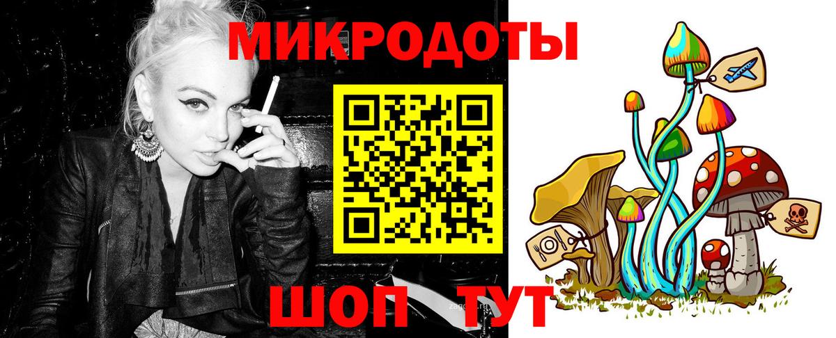 Псилоцибиновые грибы Cubensis Майкоп
